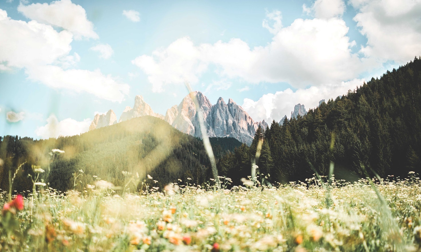 The Environmental Implementation Review and Italy: when governance matters as much as substance