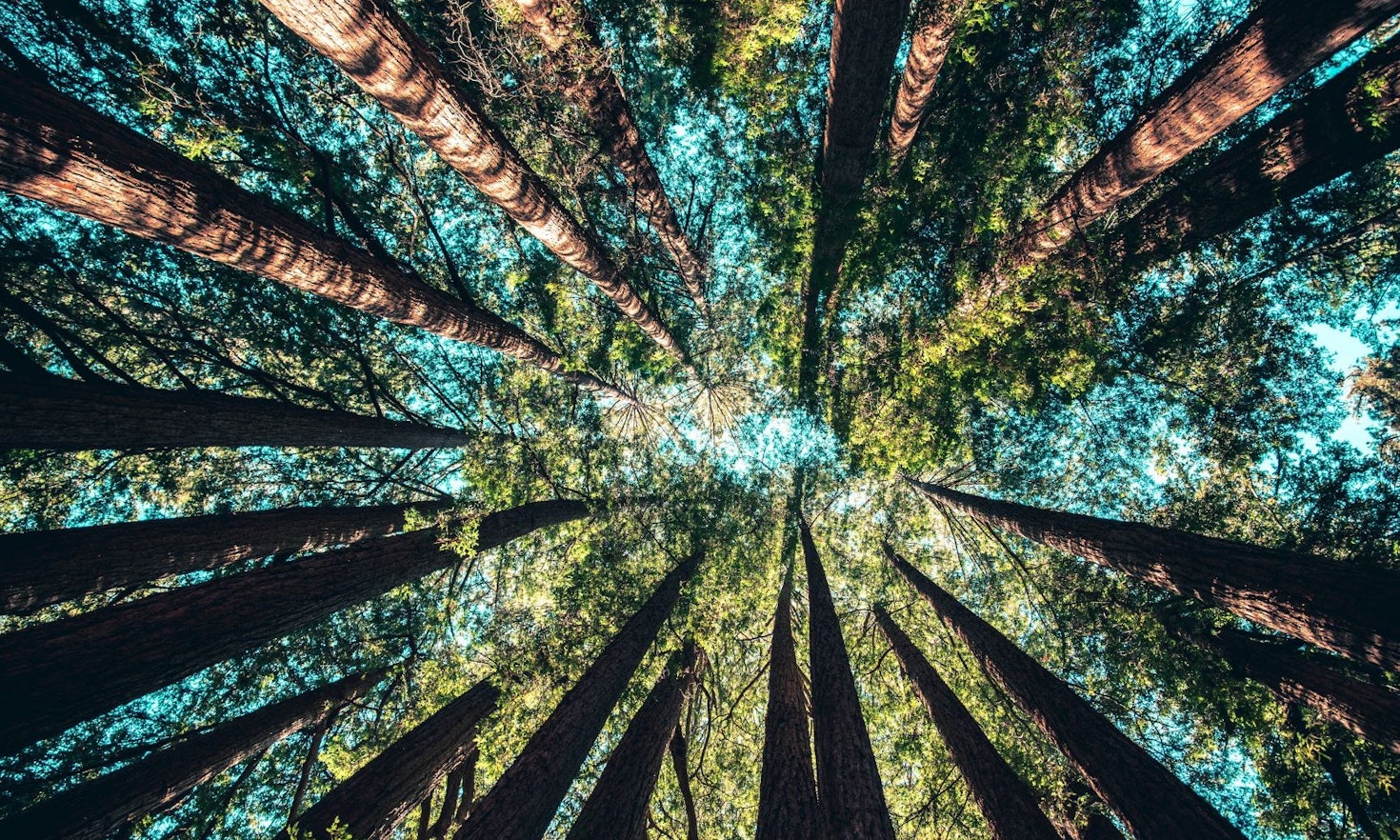 The EU Green Week: Implementation of environmental law is the key