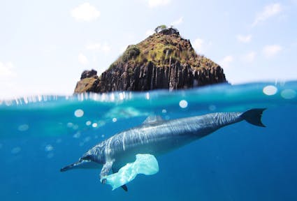 A European strategy to fight marine plastic pollution?