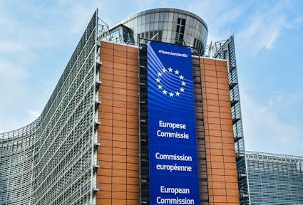The European Commission: What is it for?