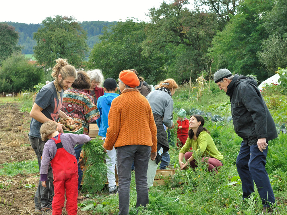 Solawi: was hat Landwirtschaft mit Solidarität zu tun