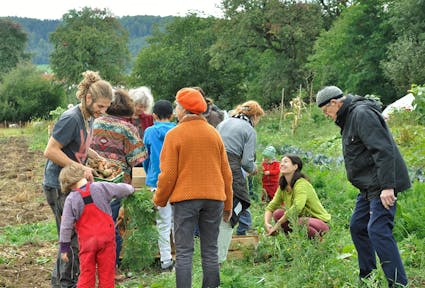 Solawi: was hat Landwirtschaft mit Solidarität zu tun