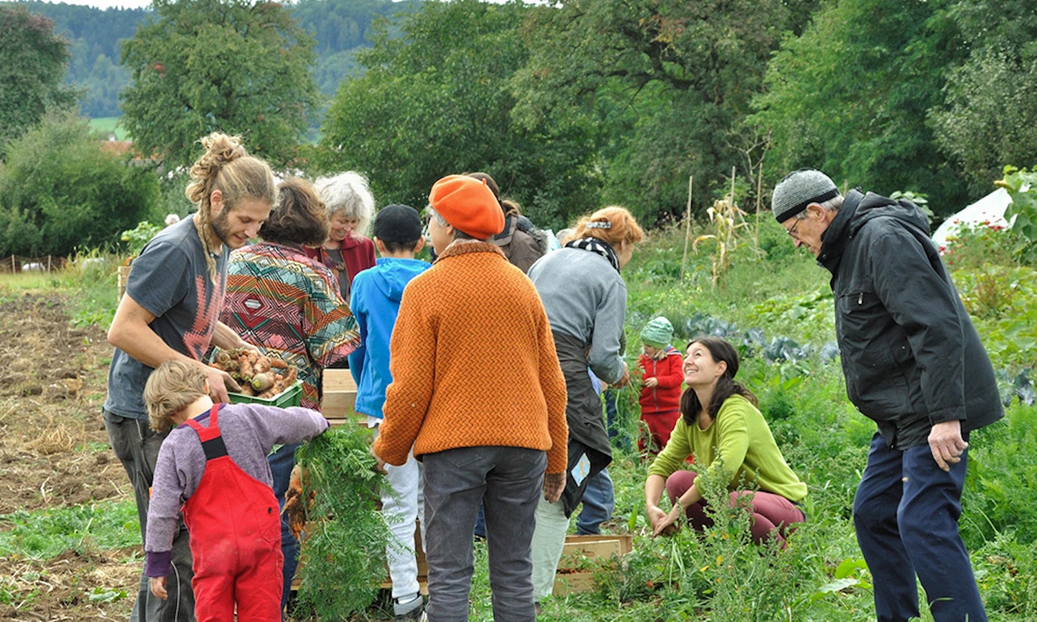 Solawi: was hat Landwirtschaft mit Solidarität zu tun