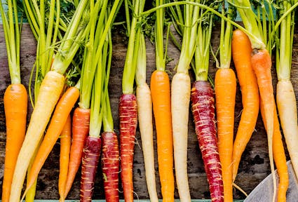 Regionale Produkte: Umweltschutz und bunte Vielfalt
