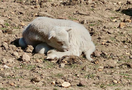 Does climate change affect farmers?