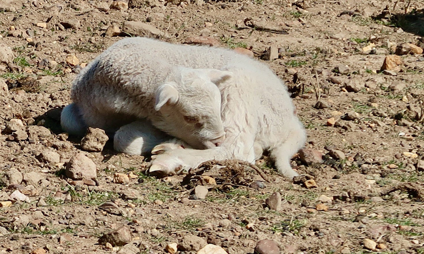 Does climate change affect farmers?
