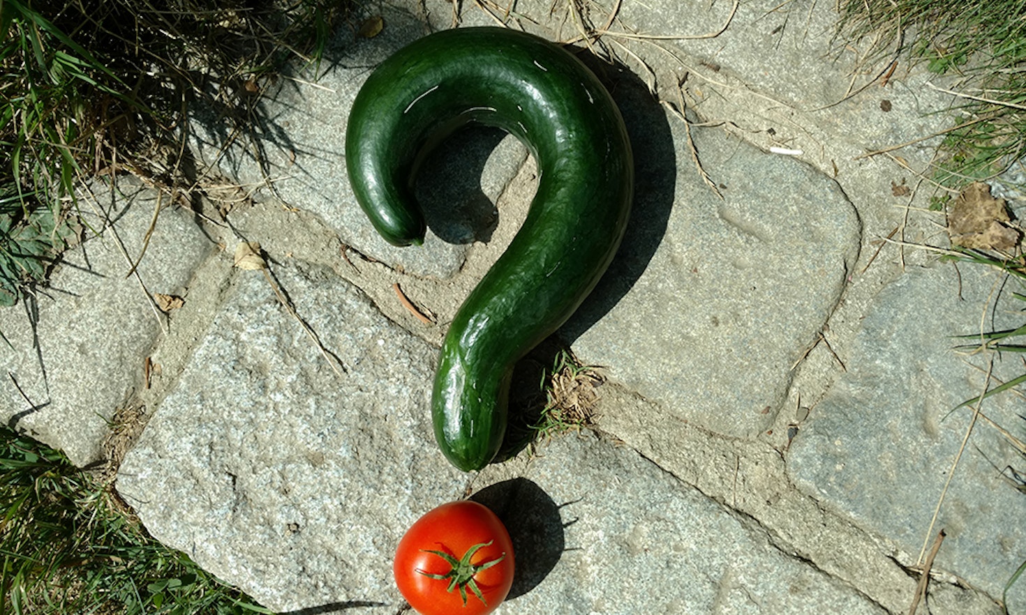 Bio-Landwirtschaft: Vertane Chance