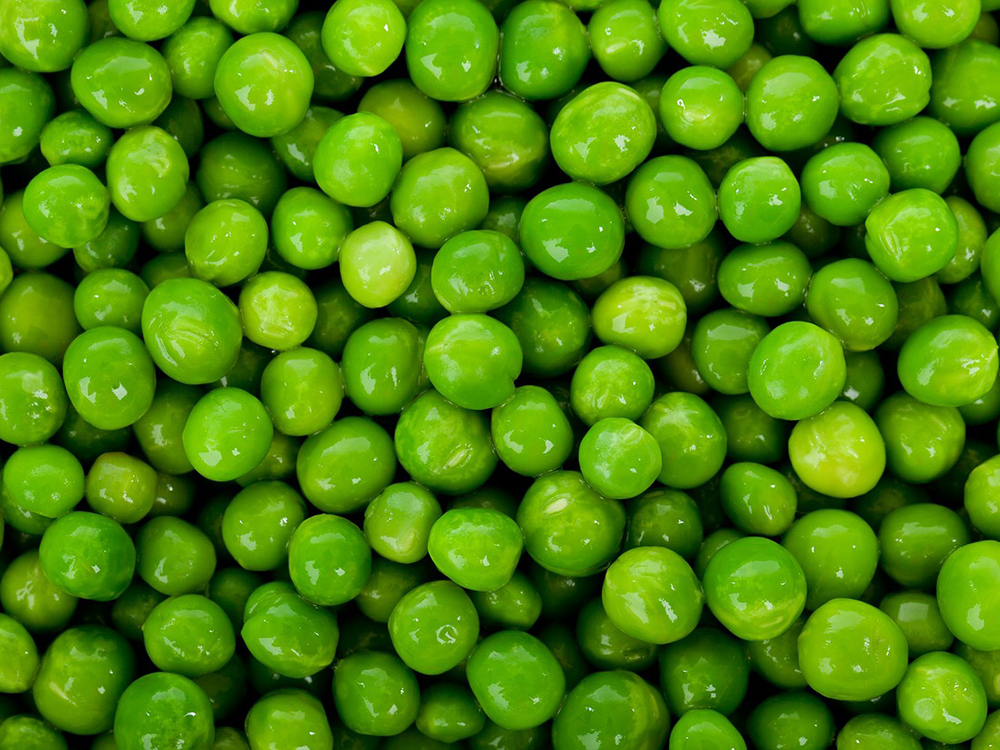 Hülsenfrüchte: „Superfood“ für Mensch und Boden