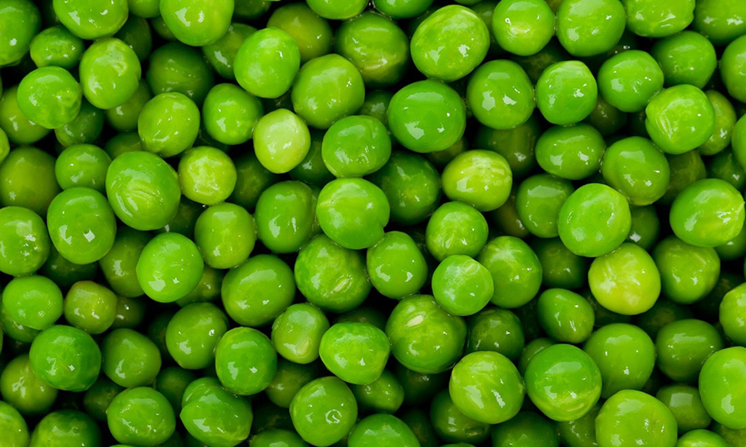 Hülsenfrüchte: „Superfood“ für Mensch und Boden