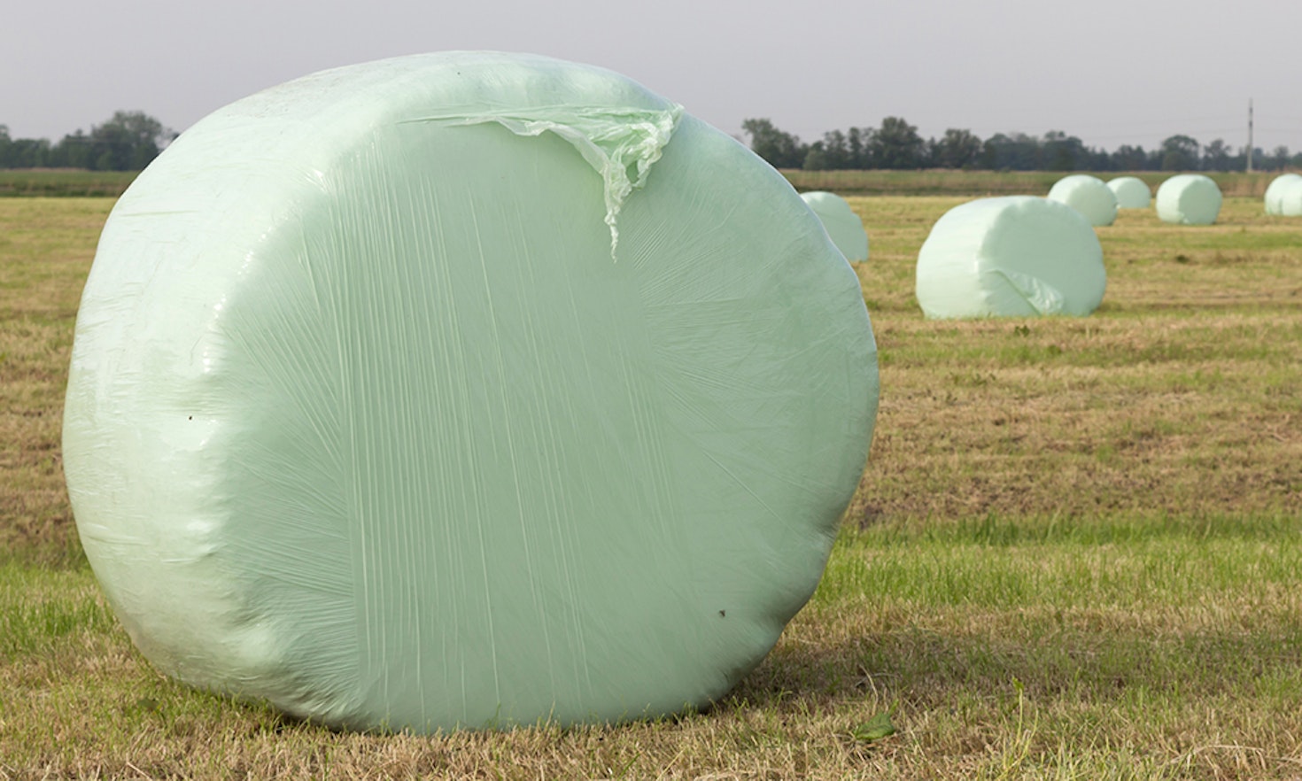 “Zero Plastic” in der Landwirtschaft?