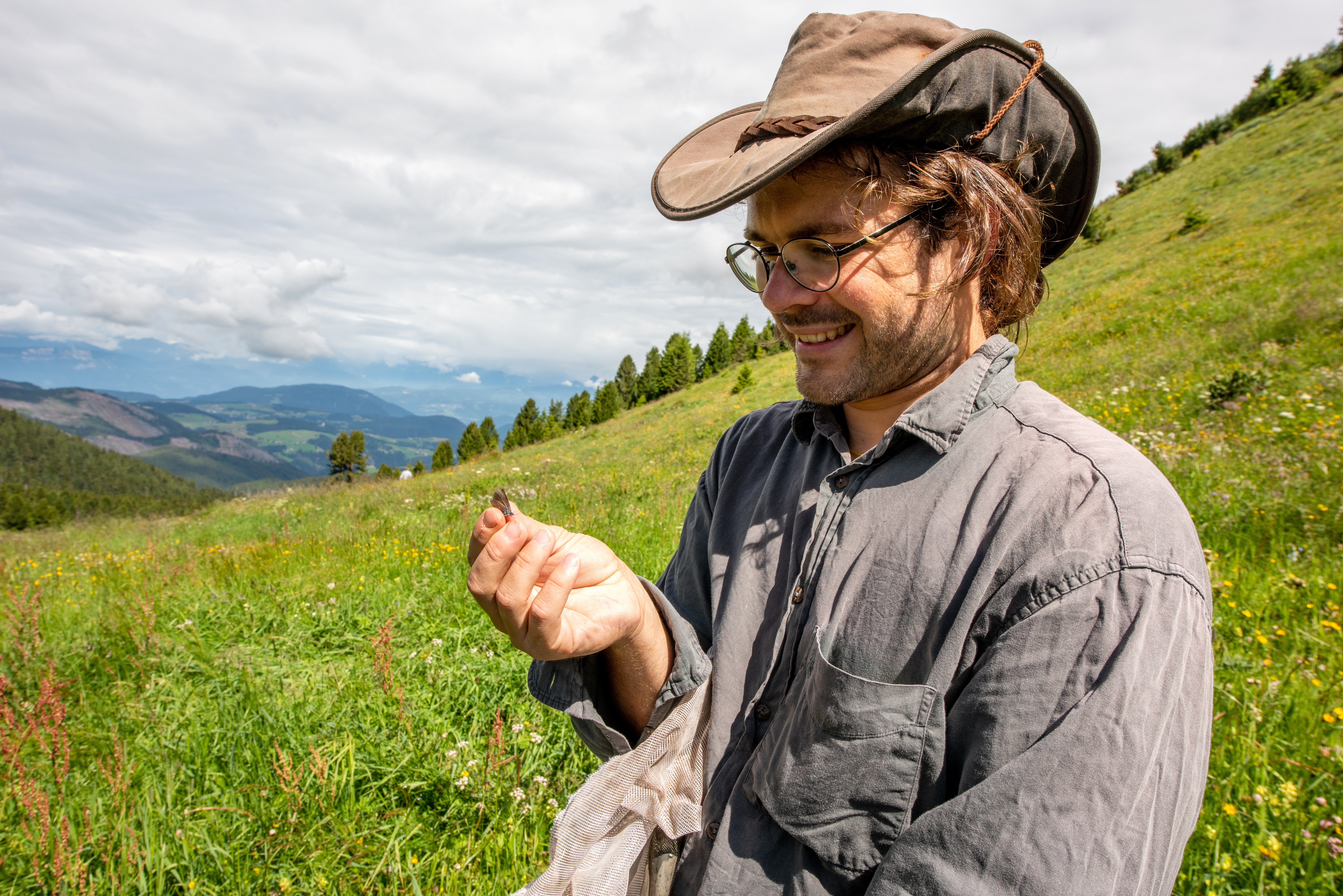 Butterfly survey