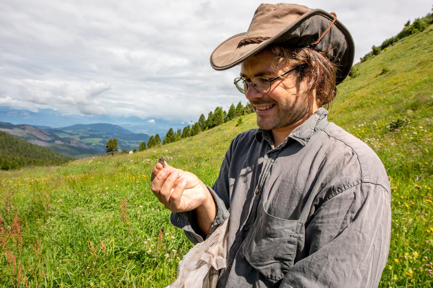 Butterfly survey