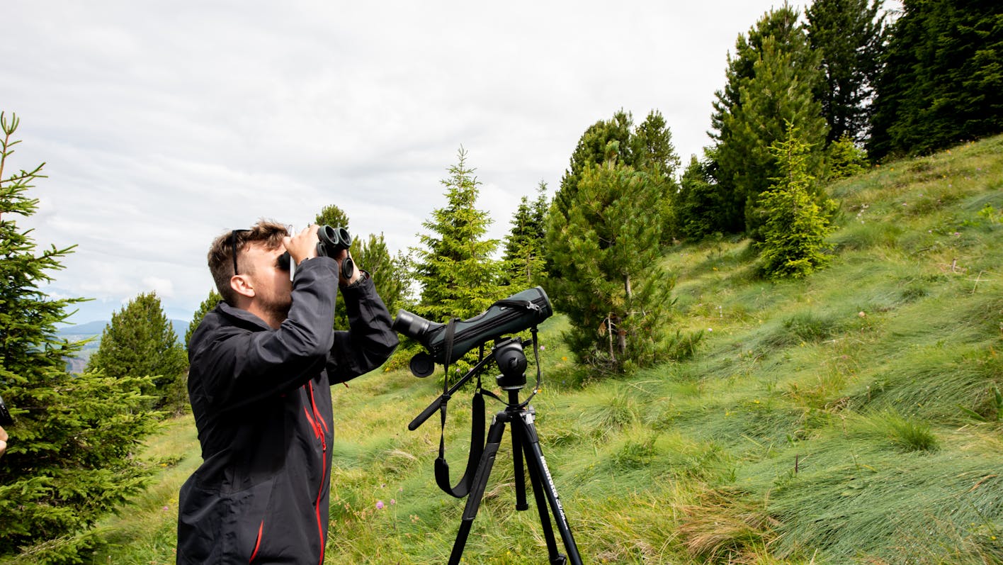 Biodiversity Monitoring South Tyrol, a long-term project