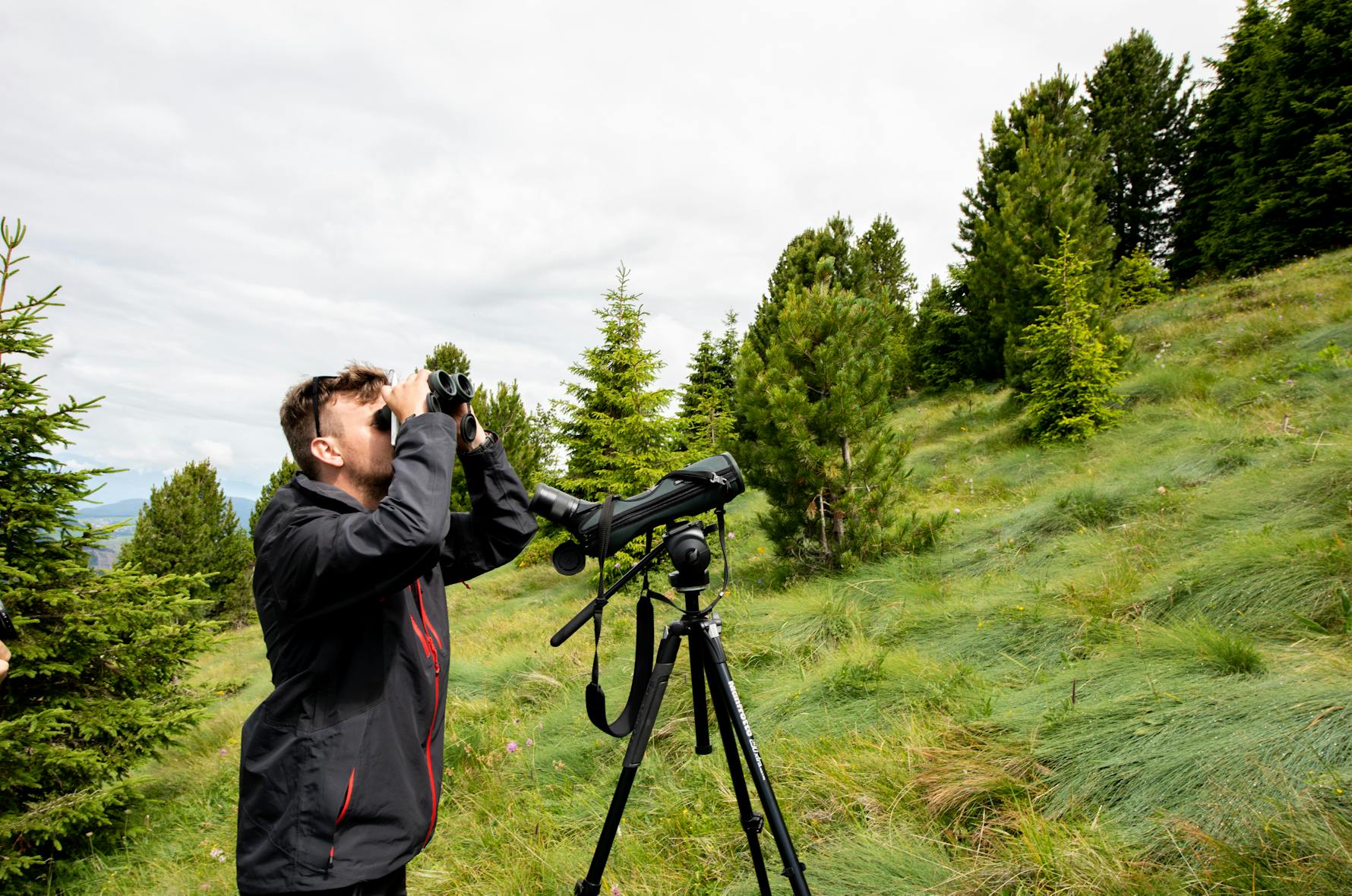 Monitoraggio della biodiversità in Alto Adige, un progetto a lungo termine