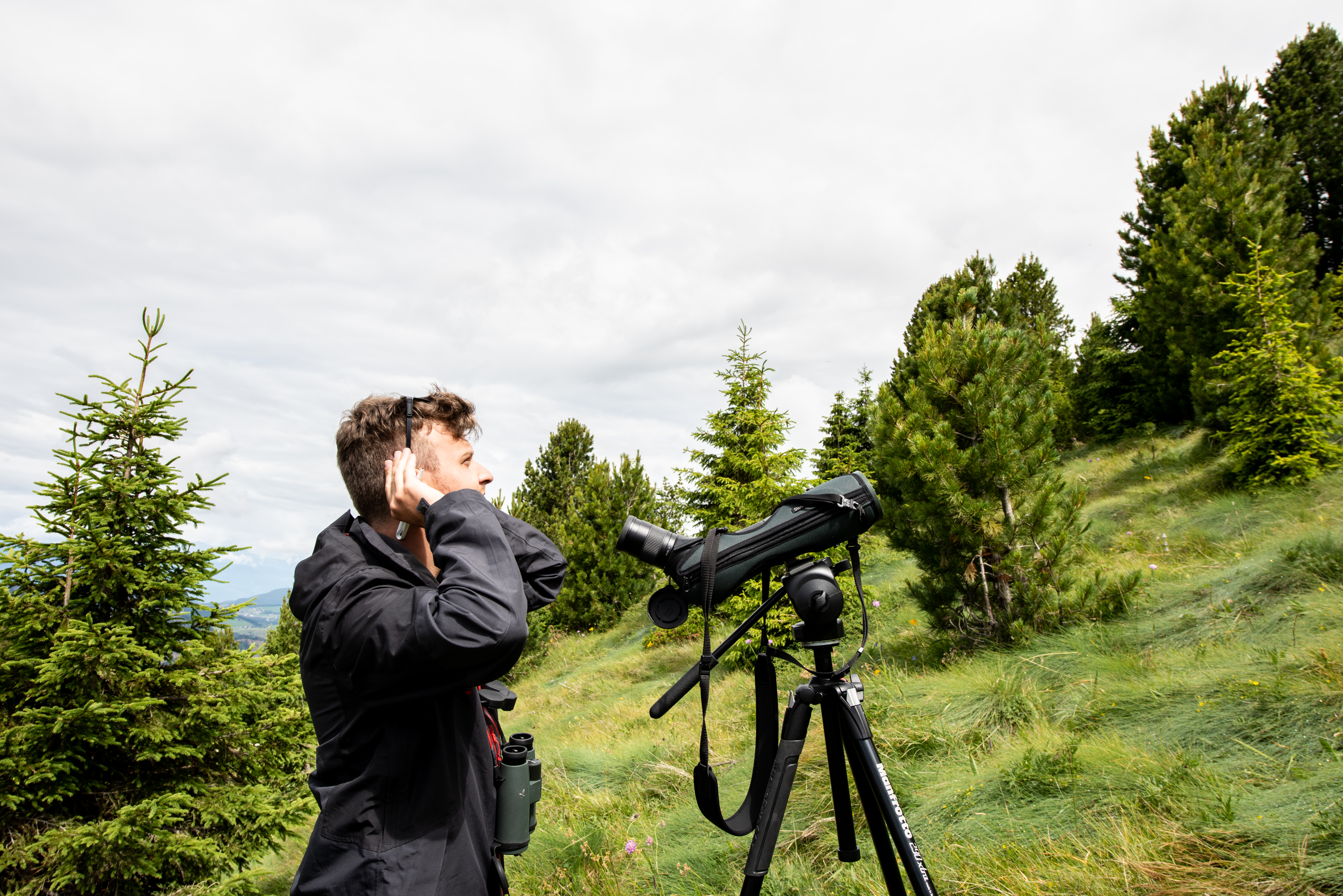 Birds Survey