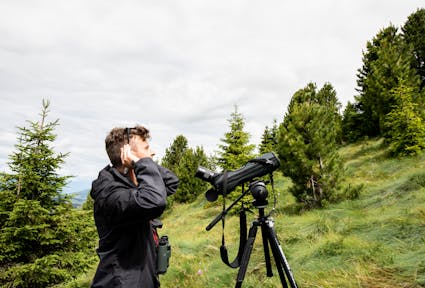 Biodiversitätsmonitoring Südtirol, ein Langzeitprojekt