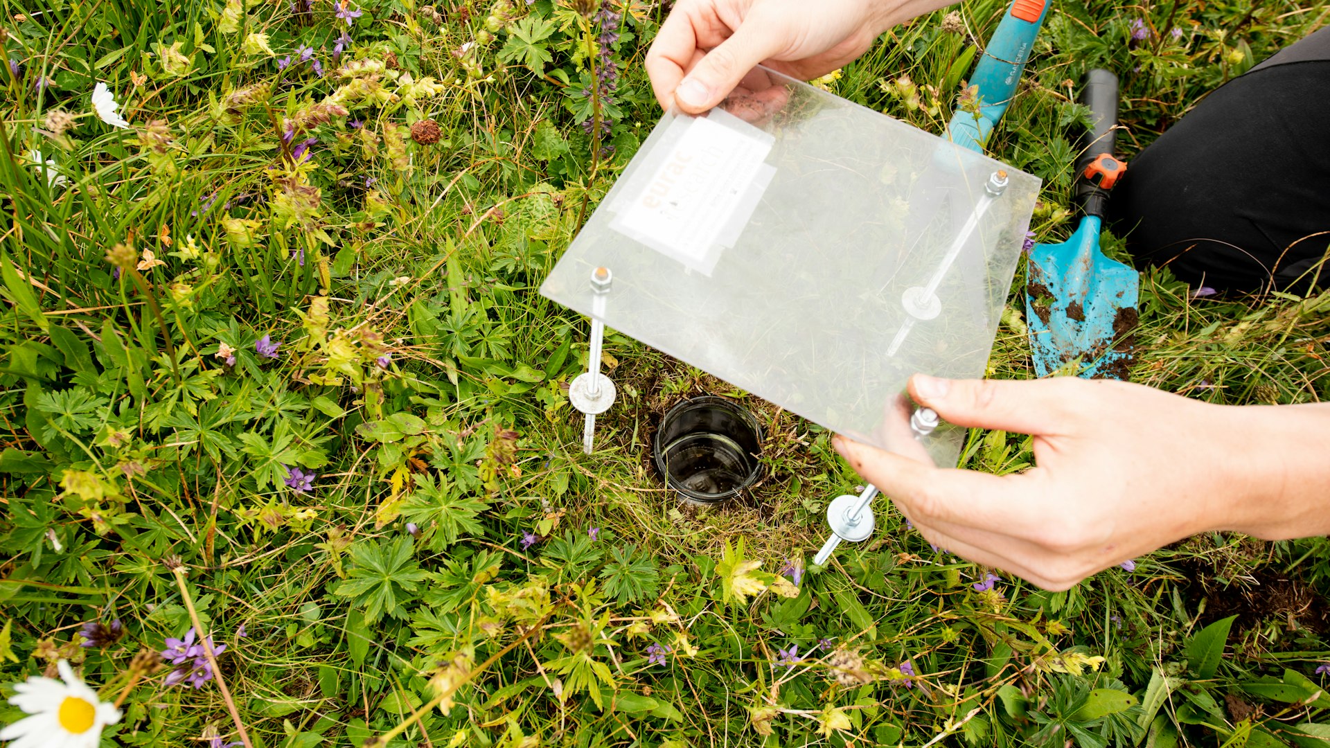 Pitfall traps