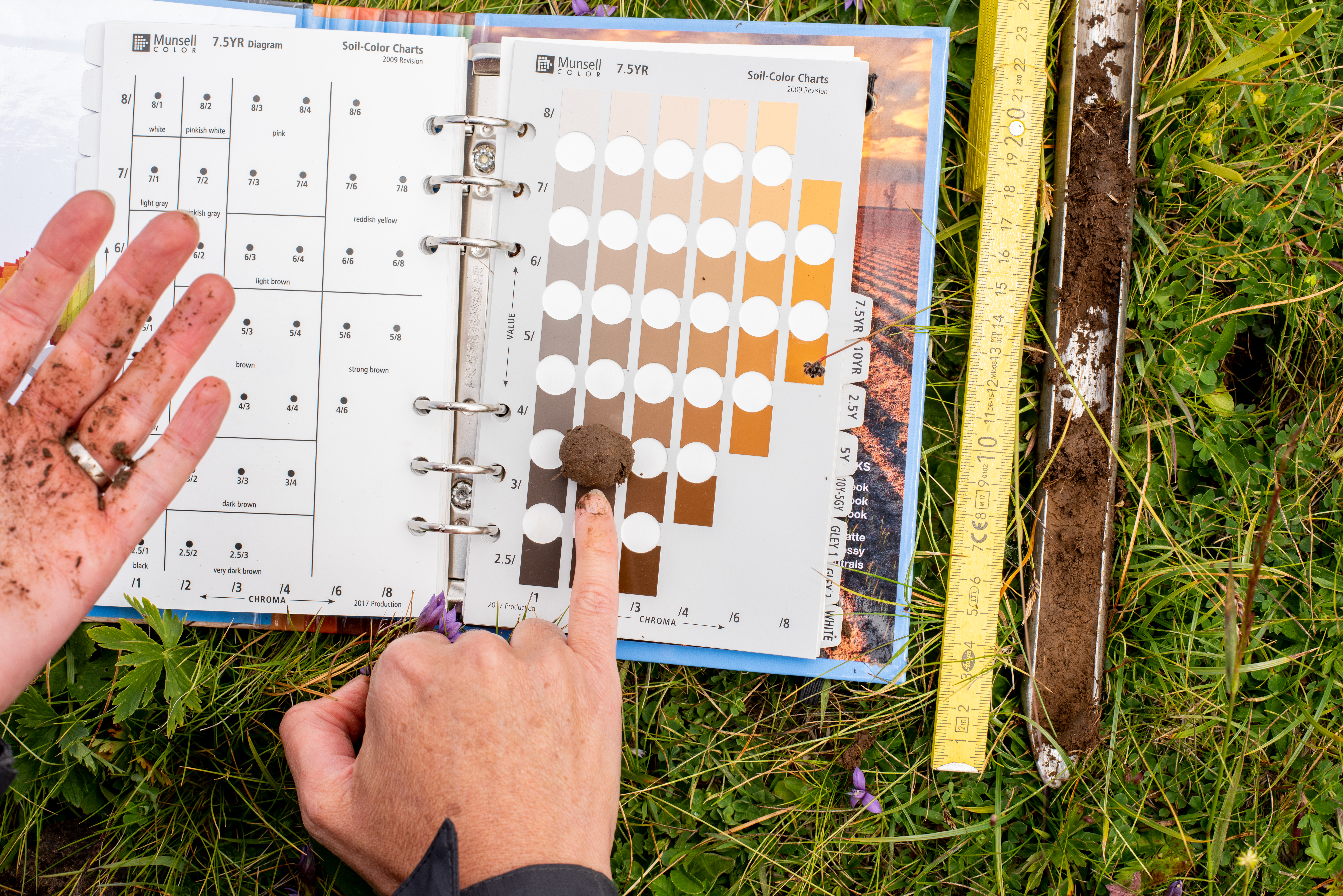 Soil Survey