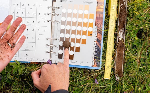 Soil Survey