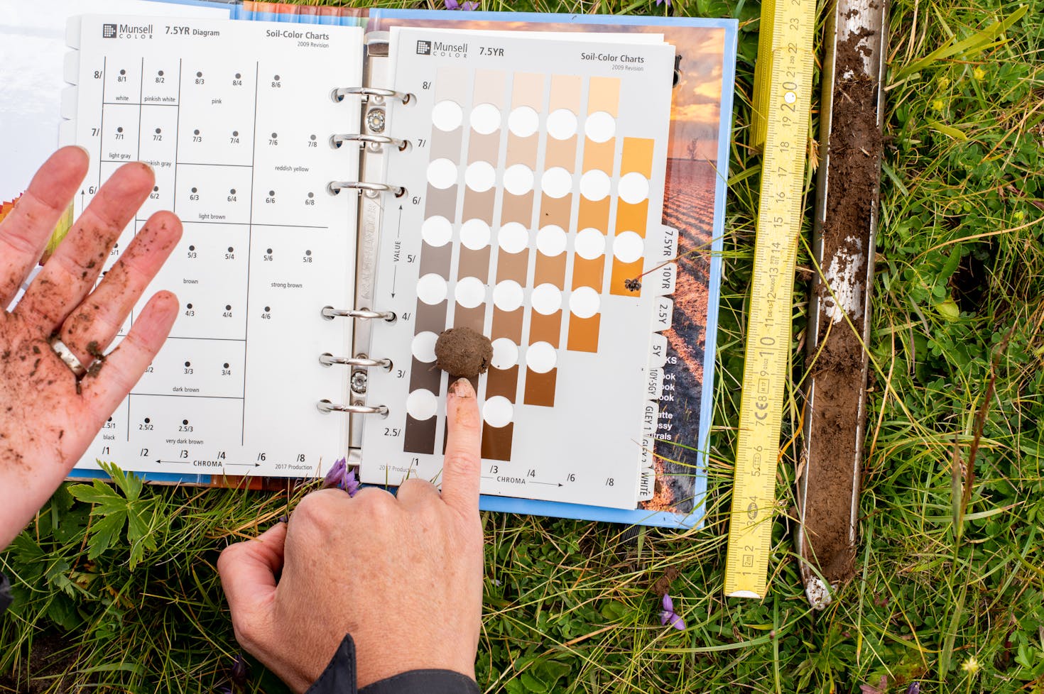 Soil Survey