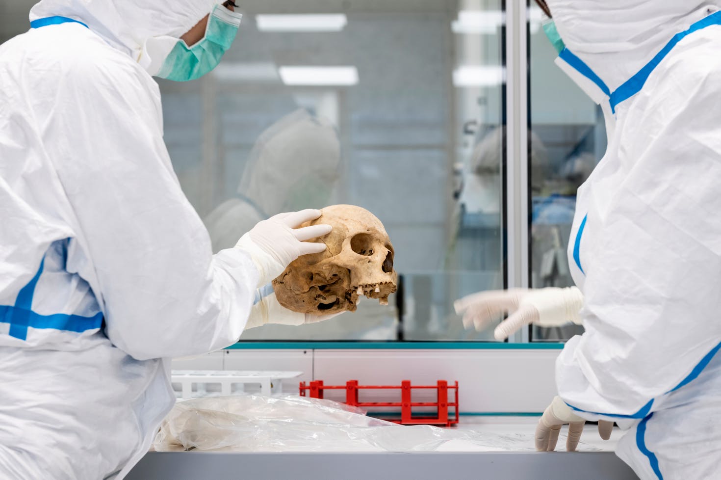 Ancient DNA Lab