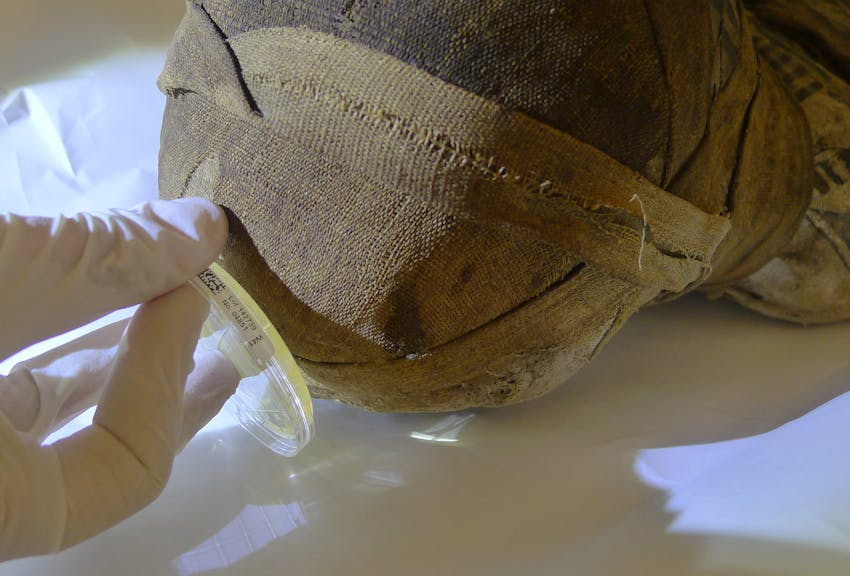 Mumien des Ägyptischen Museums in Turin in der Obhut von Südtiroler Experten
