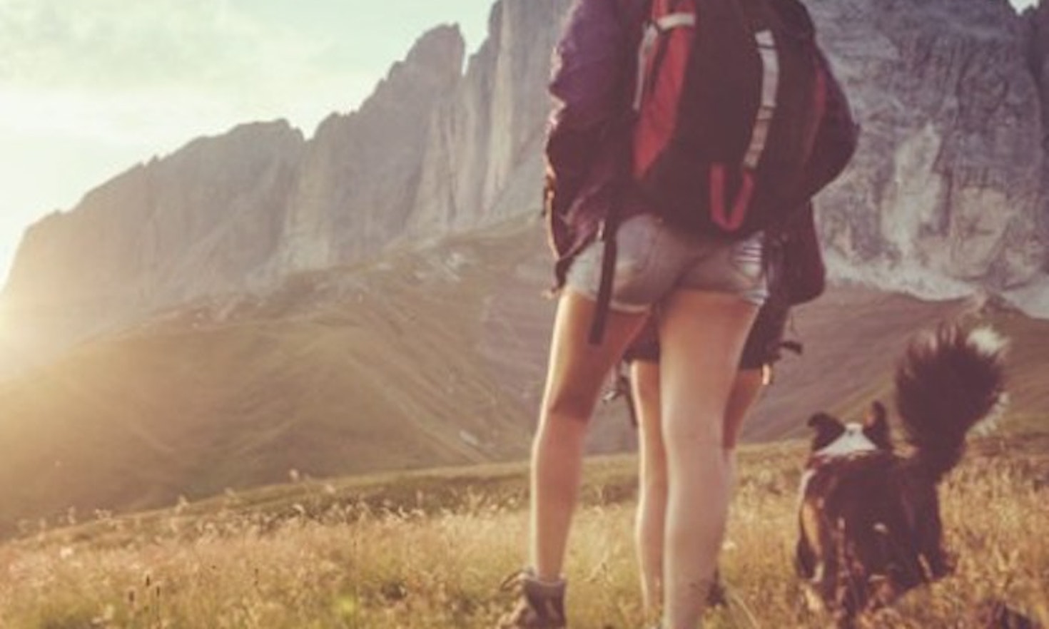 The Alps in Movement – summary