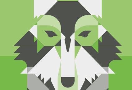 What do people think about the return of the wolf to South Tyrol? A case study
