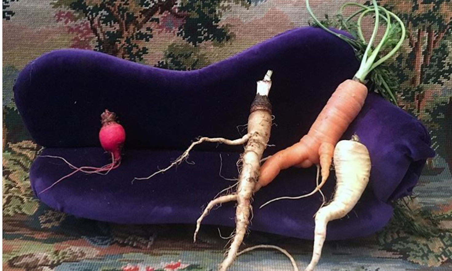 Ernährungsdemokratie