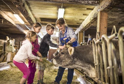 Südtiroler Bäuerinnenorganisation, 2014