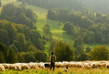 entwicklung südtirol berggebiete