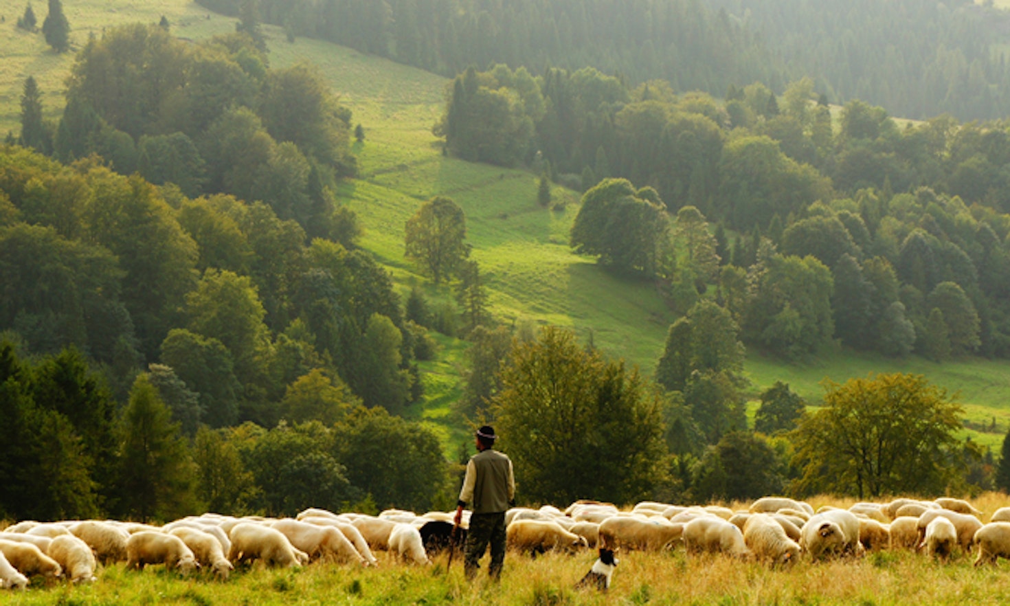 entwicklung südtirol berggebiete
