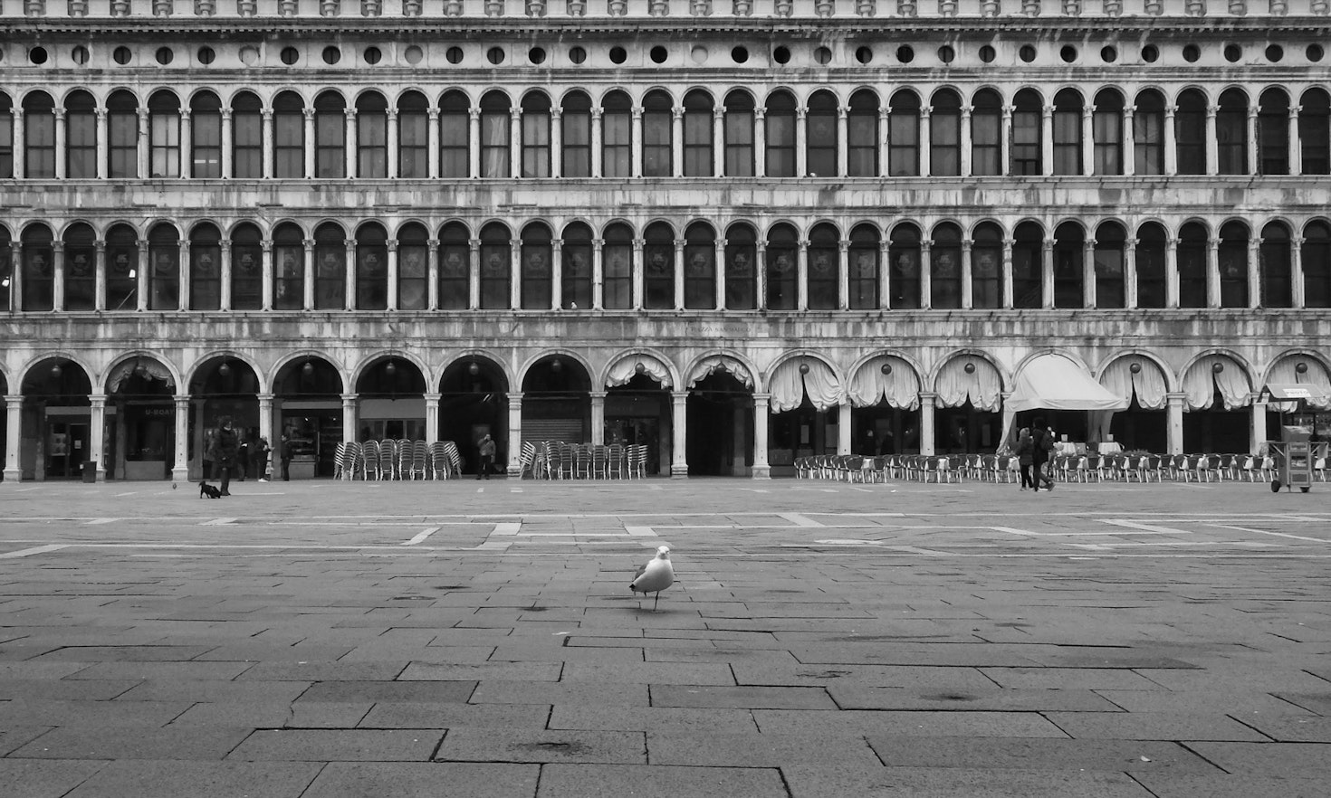 Representative democracy in Italy: the great absentee in the Covid-19 emergency
