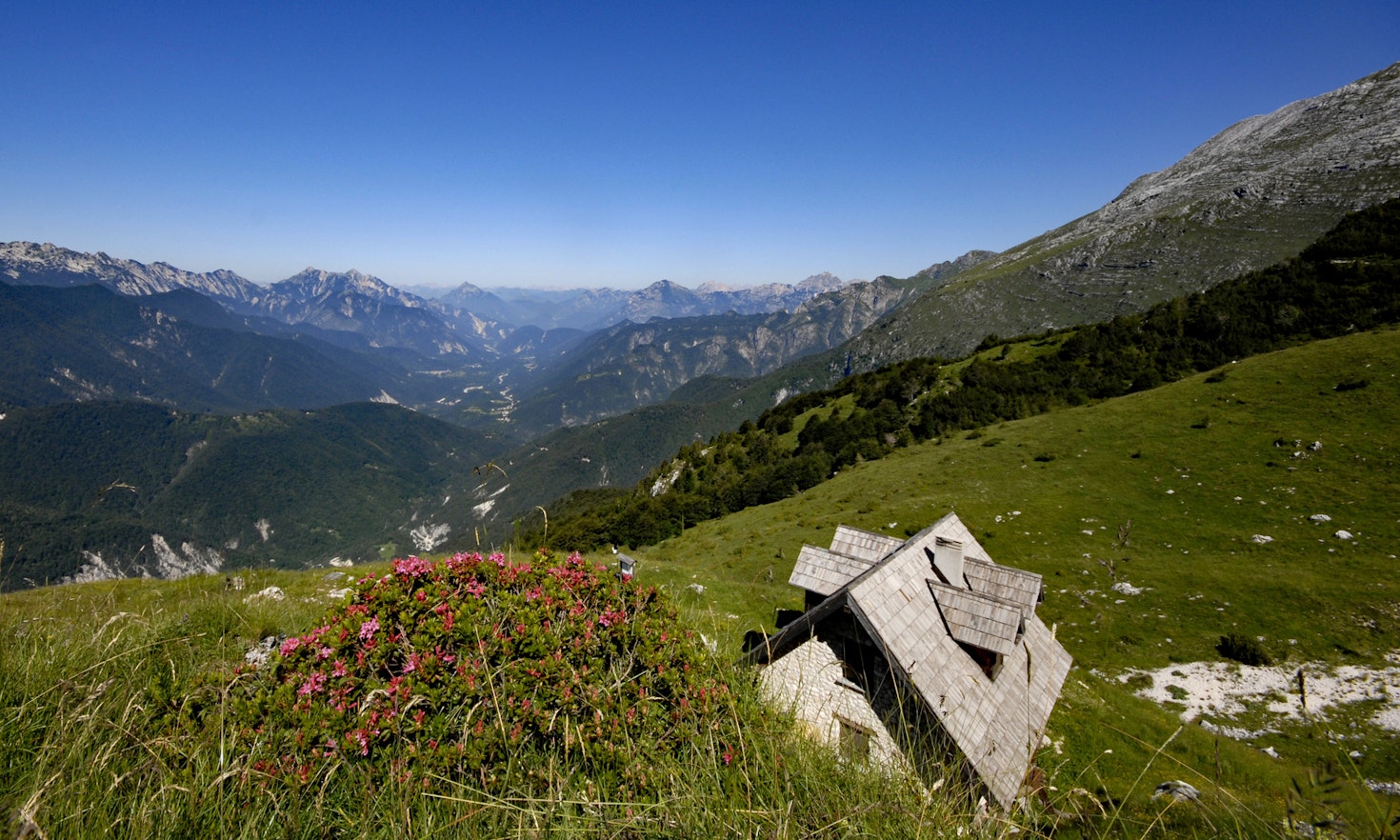 Capanna nel verde