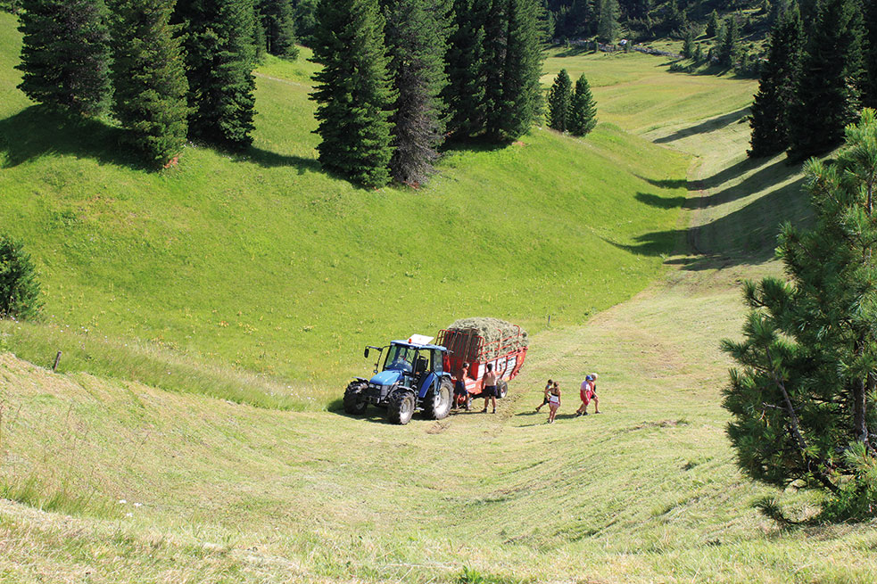 Agricoltura: un rapporto analizza gli elementi chiave per uno sviluppo sostenibile