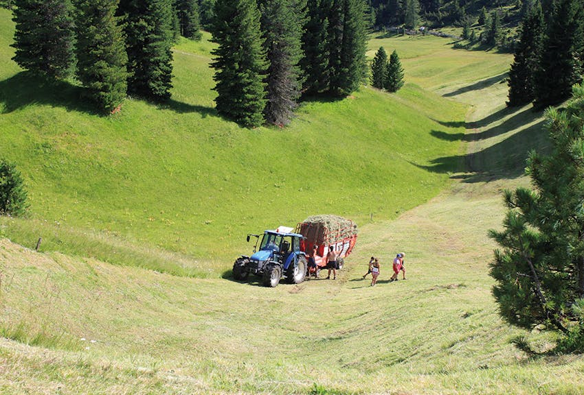 Agricoltura: un rapporto analizza gli elementi chiave per uno sviluppo sostenibile