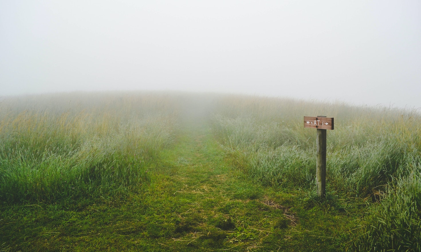 Evelyn Mostrom/Unsplash