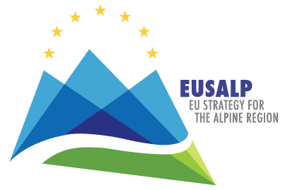 Member of Action Group "Environment and Energy" | Strategy for the Alpine region