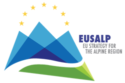 Member of Action Group "Environment and Energy" | Strategy for the Alpine region