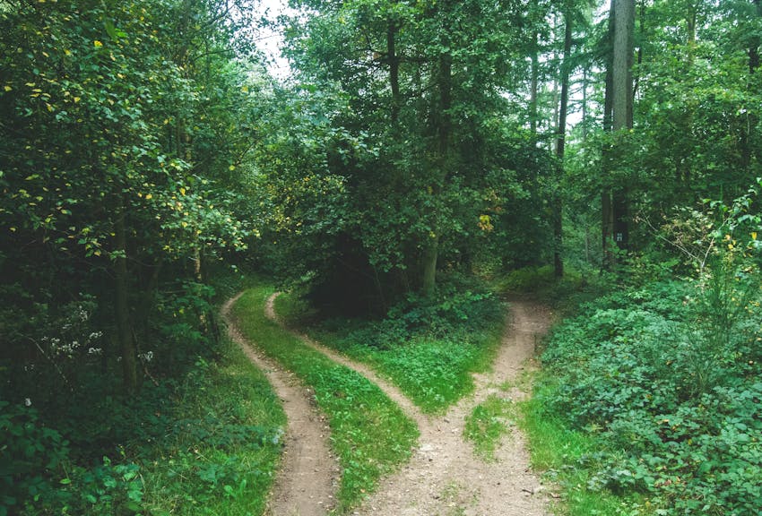 “Trust means having the same values and goals, but not necessarily following the same paths.”