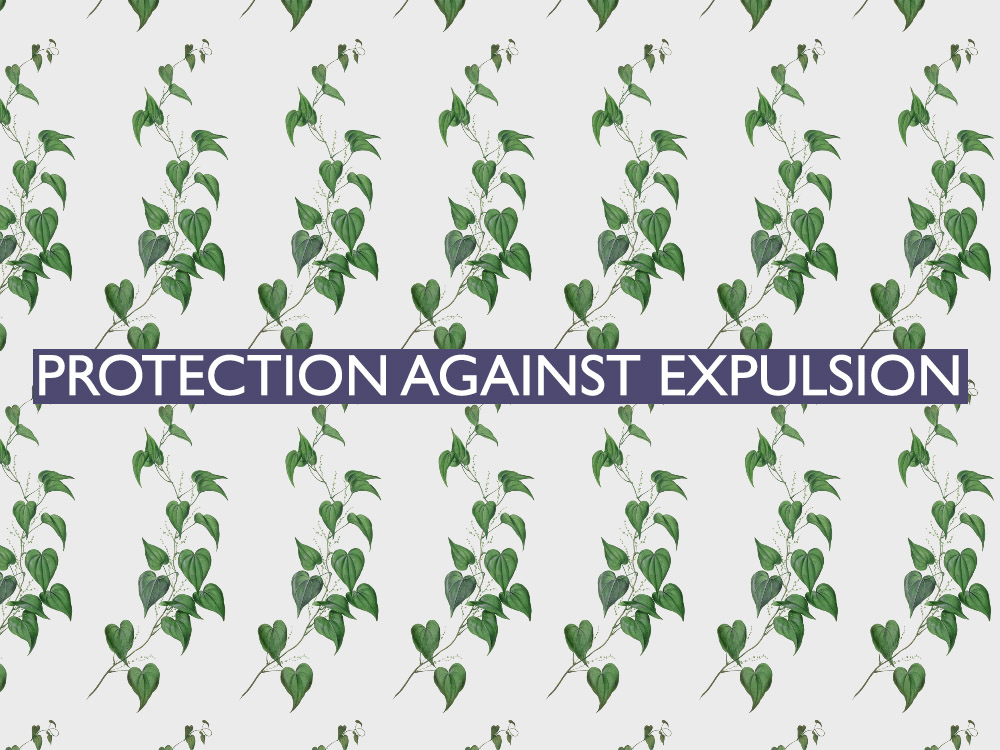 The 19th of all EU-r rights: protection against expulsion and how the Charter contributes