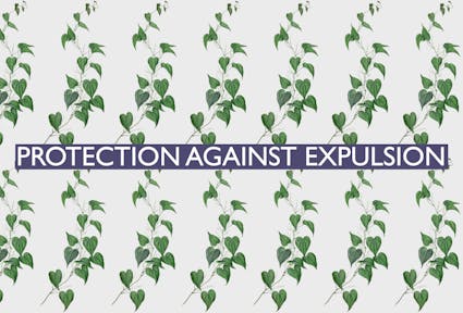 The 19th of all EU-r rights: protection against expulsion and how the Charter contributes