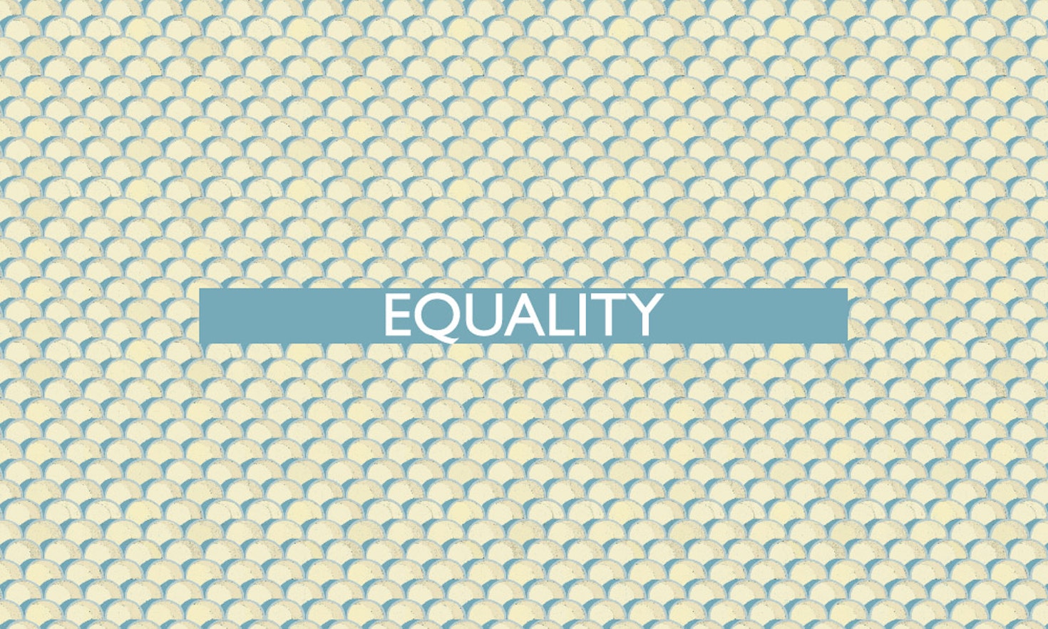 The 20th of all EU-r rights: equality and how the Charter contributes