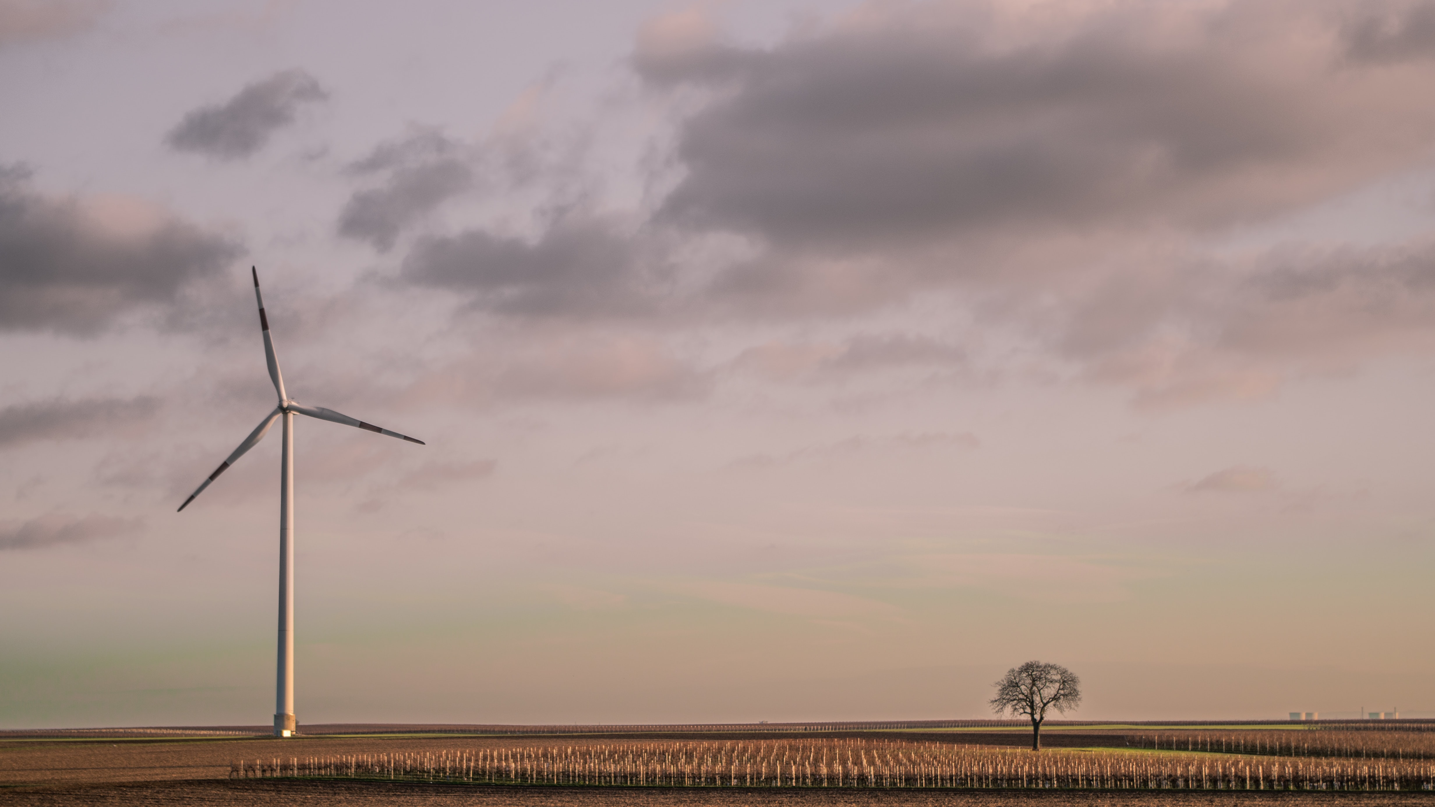 Democratic innovations against climate change: the French Citizens’ Convention on Climate