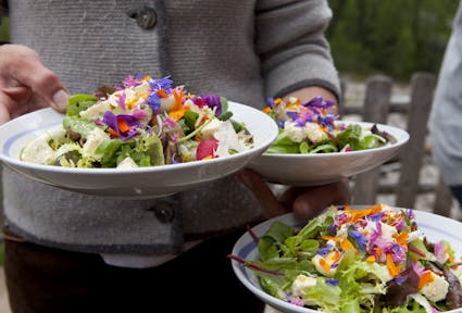 Lokale Produkte in Gastronomie und Hotellerie– Die Reise hat erst begonnen