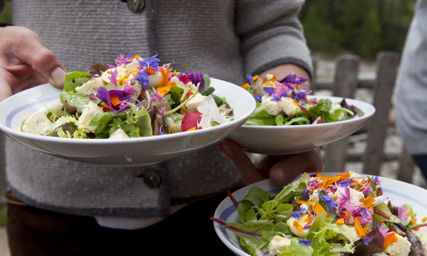 Lokale Produkte in Gastronomie und Hotellerie– Die Reise hat erst begonnen
