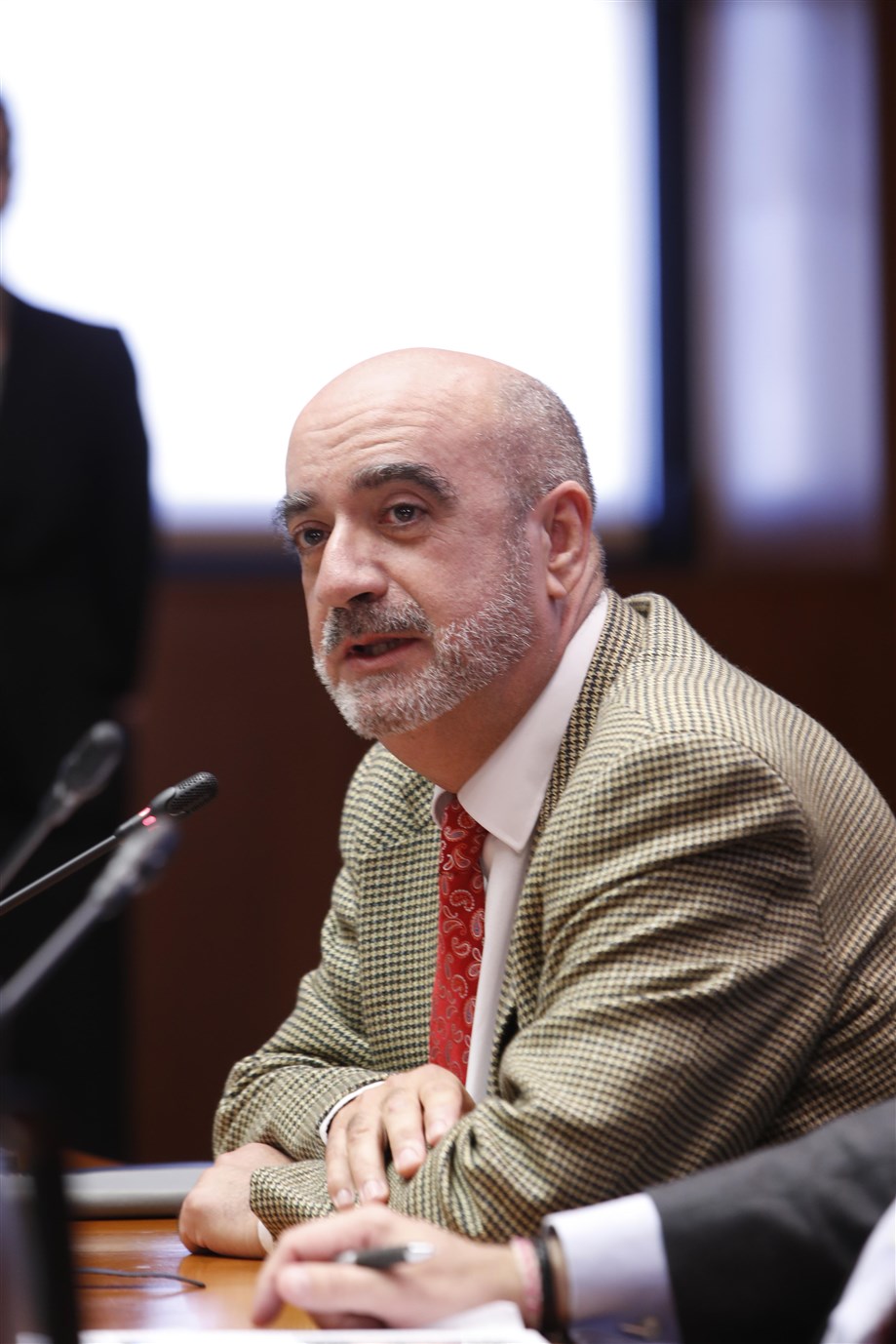 Francisco Balaguer Callejón