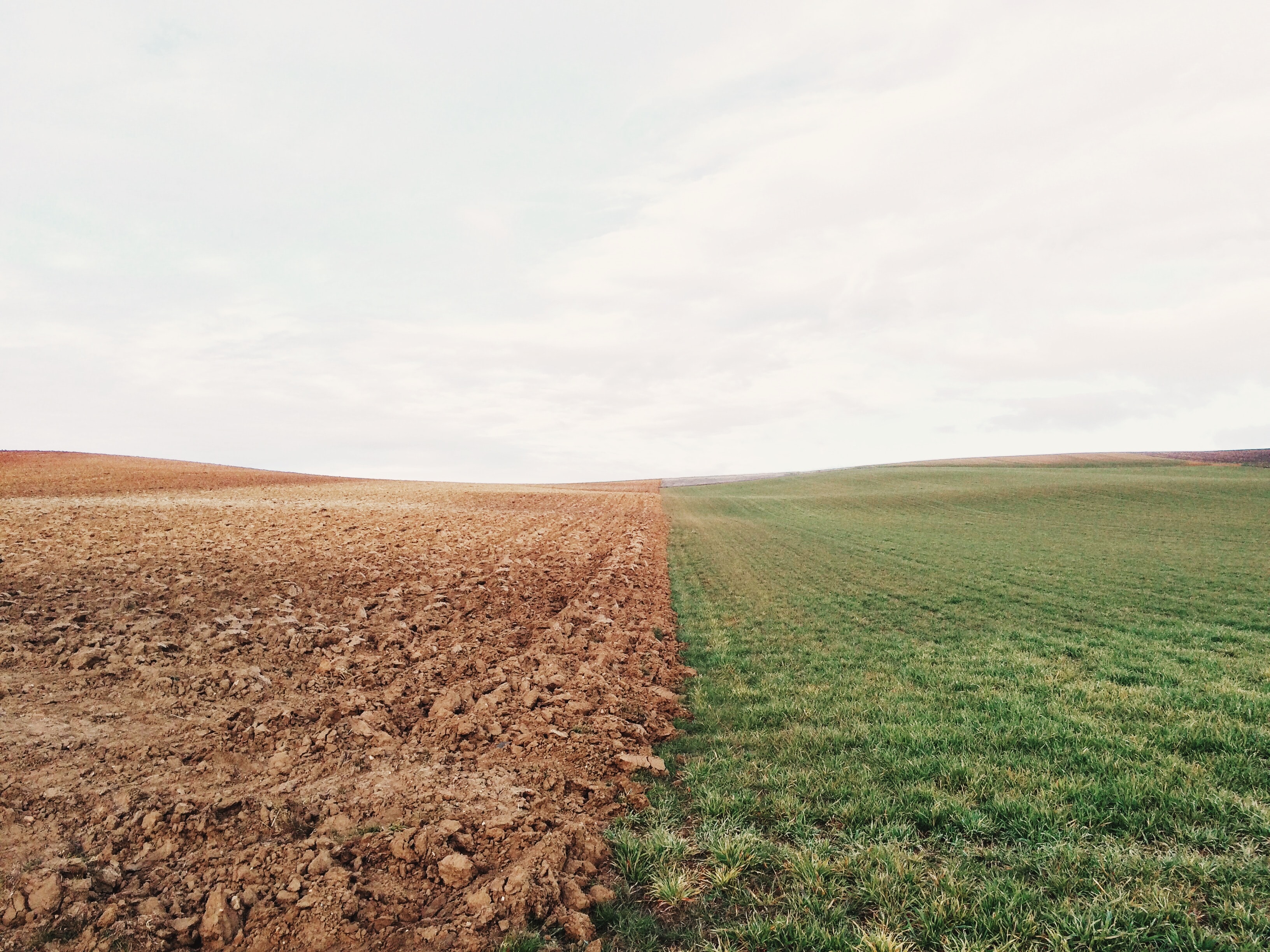 Discovering subnational paths to climate change integration: an Austrian way
