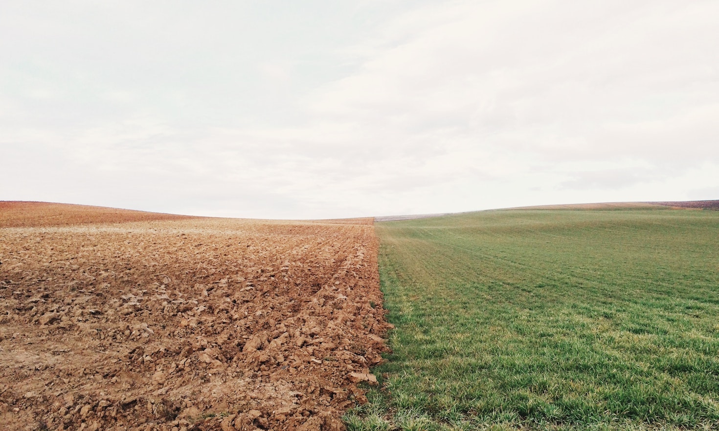 Discovering subnational paths to climate change integration: an Austrian way