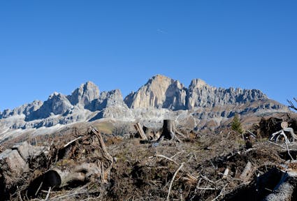 Light and shadow of climate change adaptation and mitigation strategies: South Tyrol